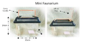 Mini Faunarium