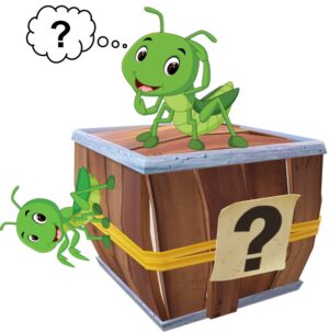 Praying Mantis Mystery boxes