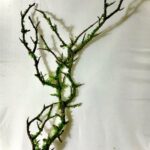 Fake "Moss" Branches