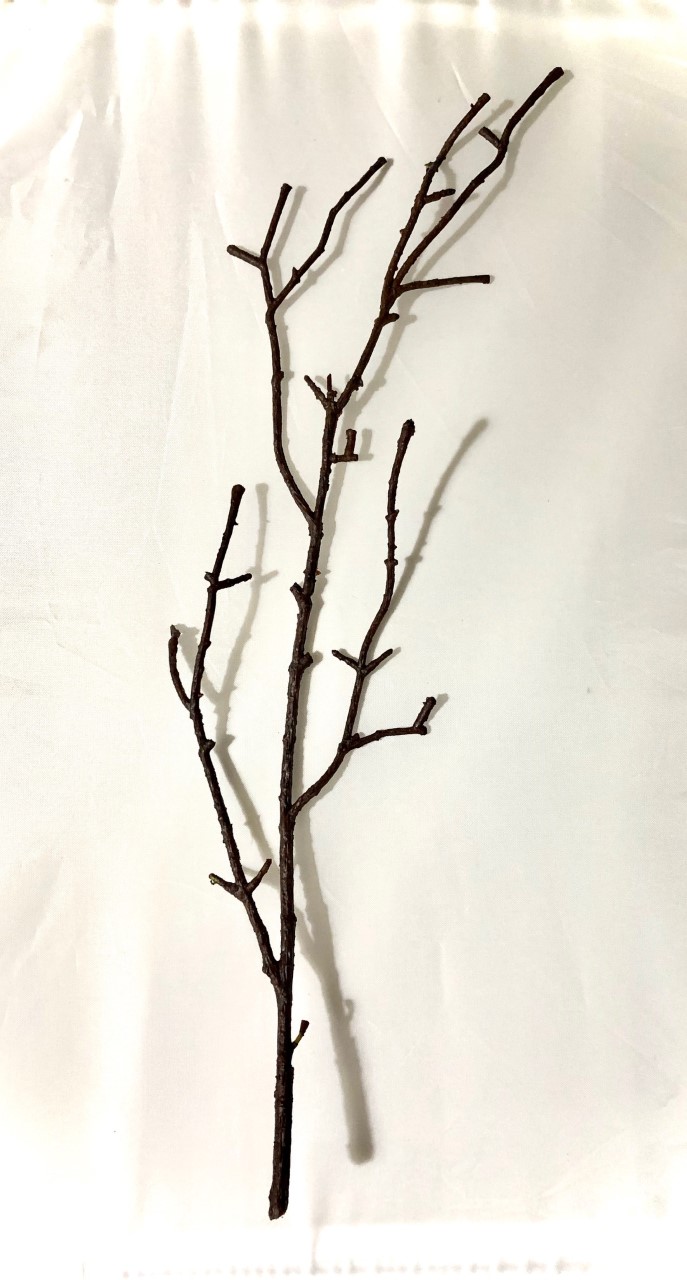 Fake Brown Branches