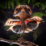 Deroplatys gorochovi (Vietnamese Giant Dead Leaf Mantis)