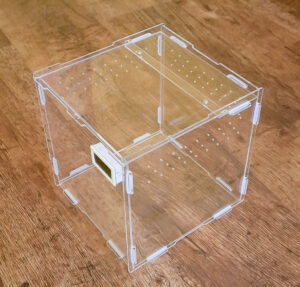 Acrylic Vivarium (Cube) (20x20x20cm)
