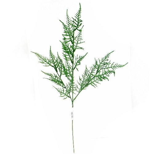 Fake Asparagus Fern Leaf