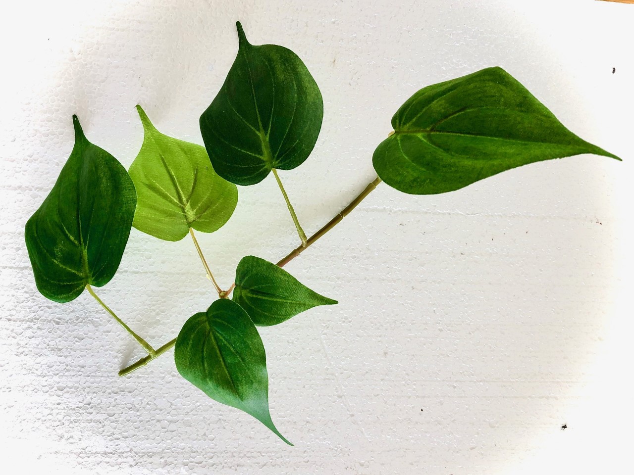 Fake Philodendron Branch/Leaves (25cm)