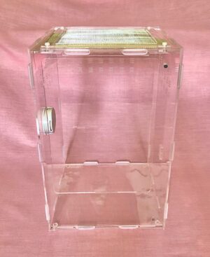 Acrylic Vivarium (large) (square top) with thermo/hygro readout