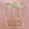 Acrylic Vivarium (mini-medium) (NO readout)