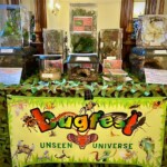 Exotic pet presentations