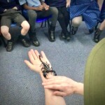 meet my exotic pets exotic pet presentations